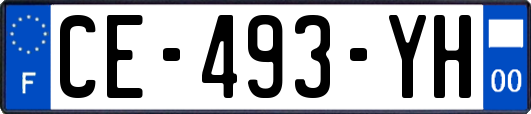 CE-493-YH