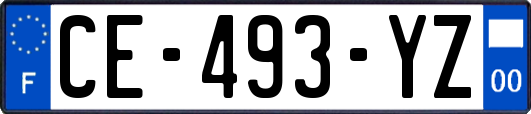 CE-493-YZ