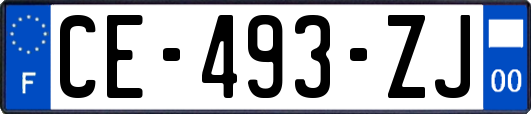 CE-493-ZJ