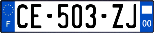 CE-503-ZJ