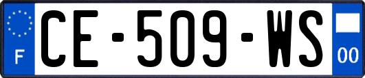 CE-509-WS