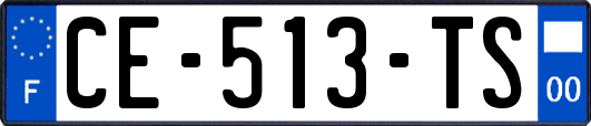 CE-513-TS