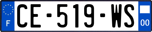 CE-519-WS