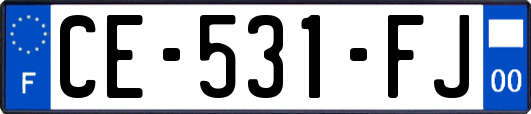 CE-531-FJ