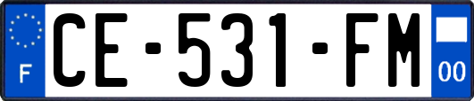 CE-531-FM