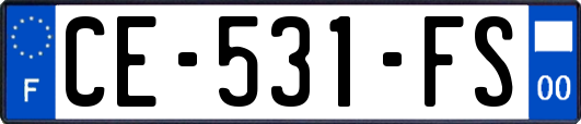 CE-531-FS