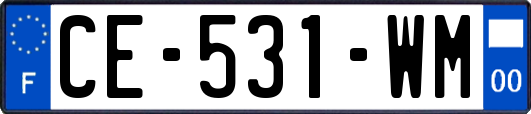 CE-531-WM