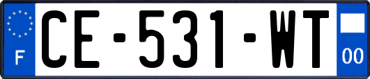 CE-531-WT