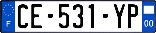 CE-531-YP