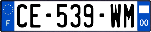 CE-539-WM