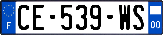 CE-539-WS