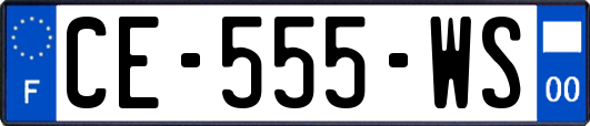 CE-555-WS