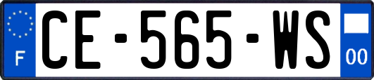 CE-565-WS