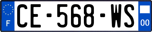 CE-568-WS