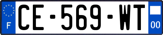 CE-569-WT