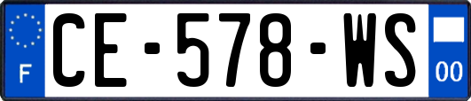 CE-578-WS