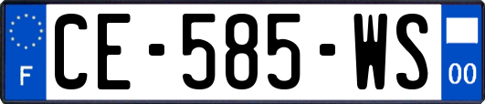CE-585-WS