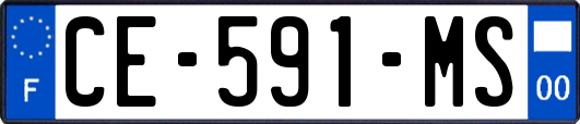 CE-591-MS