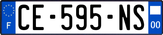 CE-595-NS