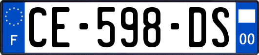 CE-598-DS