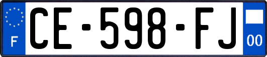 CE-598-FJ