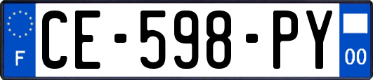 CE-598-PY
