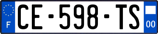 CE-598-TS