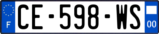 CE-598-WS