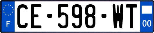 CE-598-WT