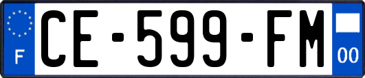 CE-599-FM