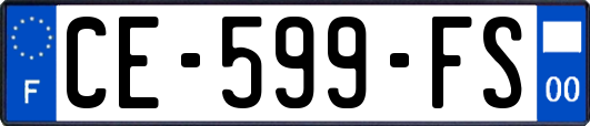 CE-599-FS