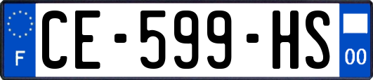 CE-599-HS