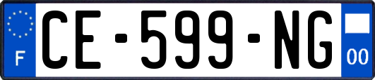 CE-599-NG