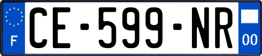 CE-599-NR