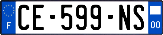 CE-599-NS