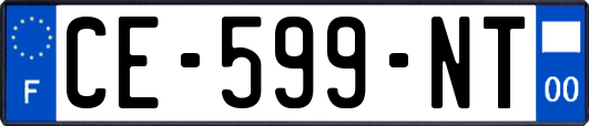 CE-599-NT