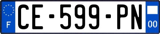 CE-599-PN