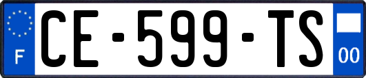 CE-599-TS