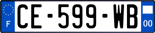 CE-599-WB