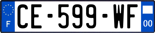 CE-599-WF