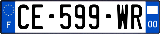 CE-599-WR