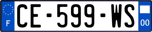CE-599-WS