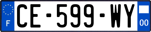 CE-599-WY