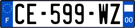 CE-599-WZ