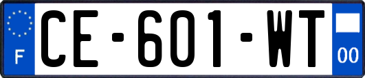 CE-601-WT