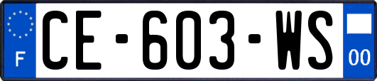 CE-603-WS