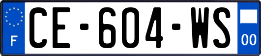 CE-604-WS