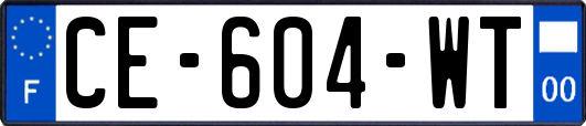 CE-604-WT