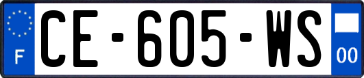 CE-605-WS