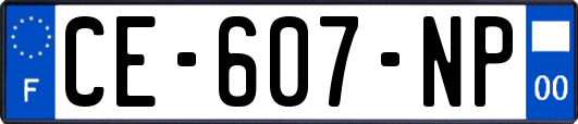 CE-607-NP